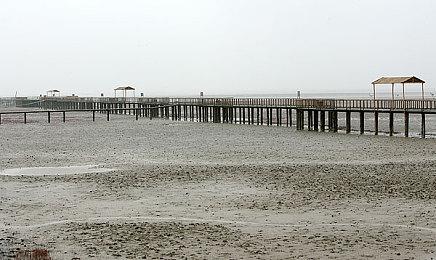 《三角洲行动》枪械研发纪录片 未来加入国产装备武器